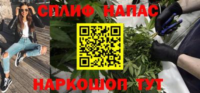 индика Пушкино
