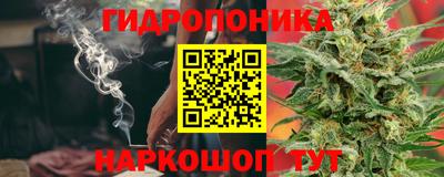 шишки Пыть-Ях
