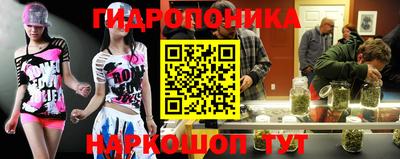 индика Пушкино