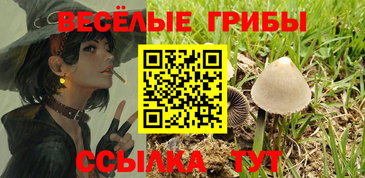Галлюциногенные грибы мухоморы  дарнет шоп  Славгород  Вход с VPN 